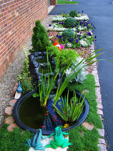 Goldfish Pond